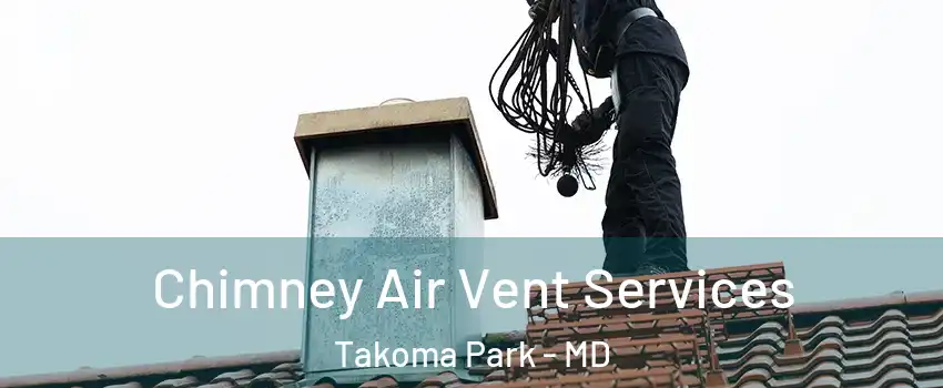  Chimney Air Vent Services Takoma Park - MD
