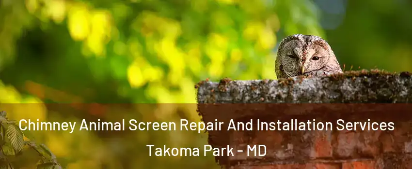  Chimney Animal Screen Repair And Installation Services Takoma Park - MD