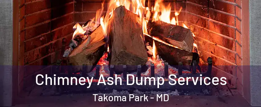 Chimney Ash Dump Services Takoma Park - MD
