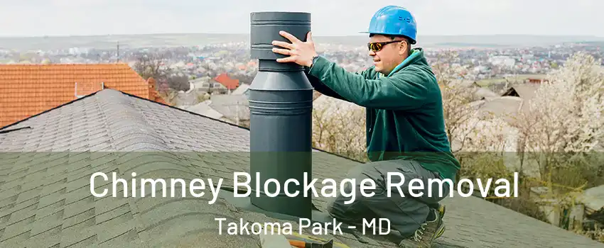 Chimney Blockage Removal Takoma Park - MD