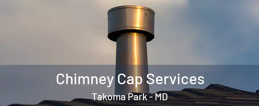  Chimney Cap Services Takoma Park - MD