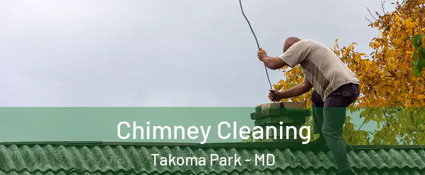  Chimney Cleaning Takoma Park - MD