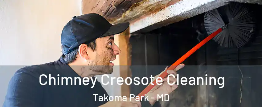  Chimney Creosote Cleaning Takoma Park - MD