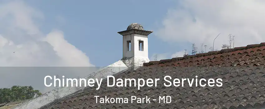 Chimney Damper Services Takoma Park - MD