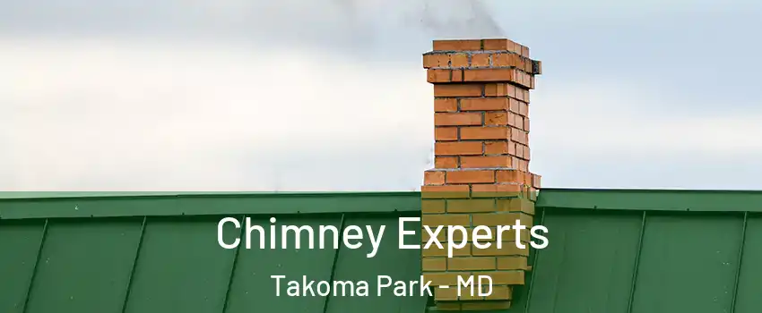 Chimney Experts Takoma Park - MD
