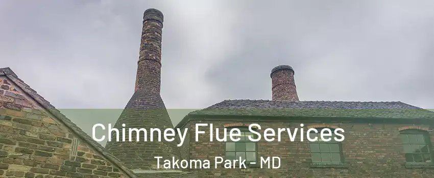 Chimney Flue Services Takoma Park - MD