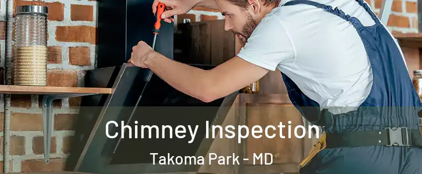  Chimney Inspection Takoma Park - MD