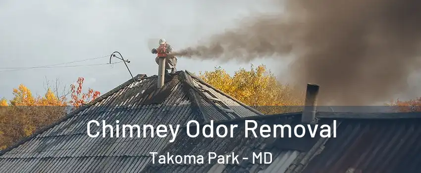  Chimney Odor Removal Takoma Park - MD