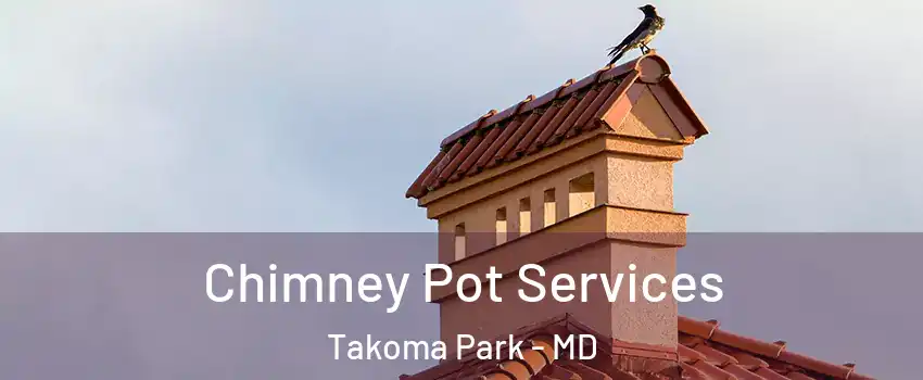  Chimney Pot Services Takoma Park - MD