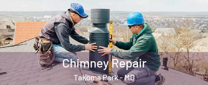  Chimney Repair Takoma Park - MD