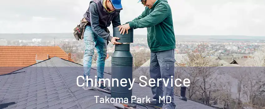 Chimney Service Takoma Park - MD