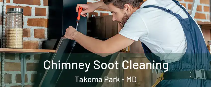  Chimney Soot Cleaning Takoma Park - MD