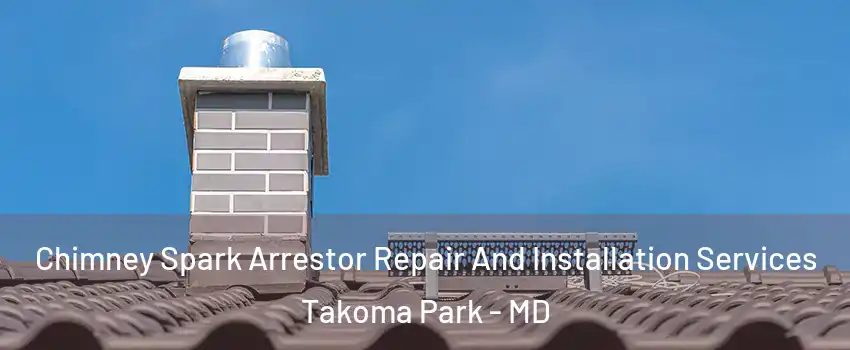  Chimney Spark Arrestor Repair And Installation Services Takoma Park - MD