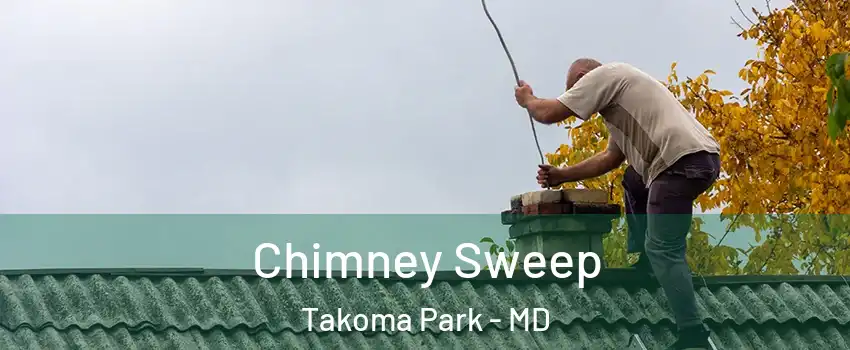 Chimney Sweep Takoma Park - MD