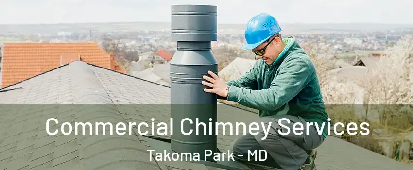  Commercial Chimney Services Takoma Park - MD