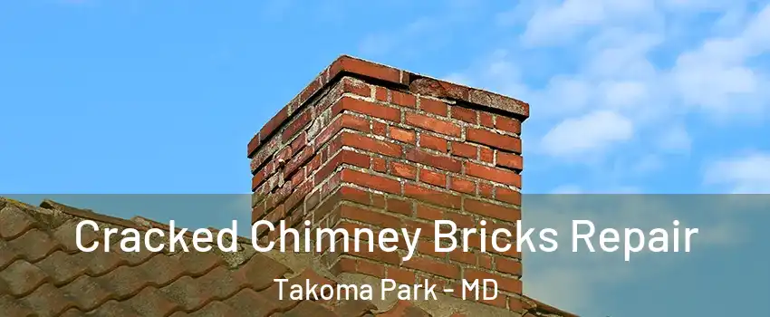  Cracked Chimney Bricks Repair Takoma Park - MD