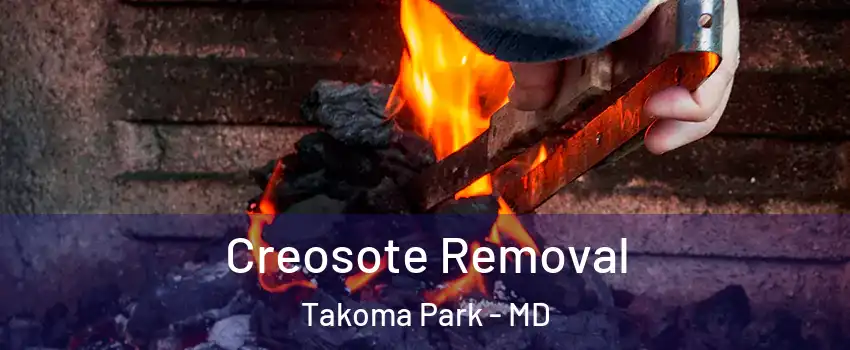 Creosote Removal Takoma Park - MD