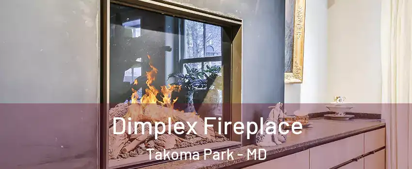  Dimplex Fireplace Takoma Park - MD
