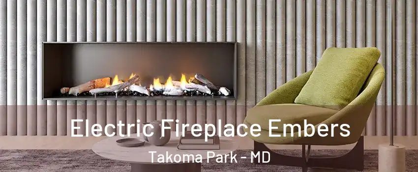  Electric Fireplace Embers Takoma Park - MD