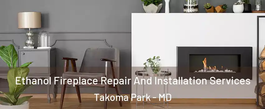 Ethanol Fireplace Repair And Installation Services Takoma Park - MD