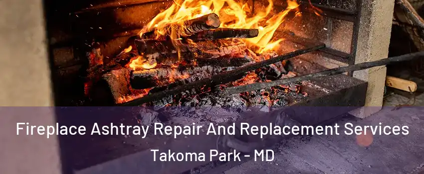 Fireplace Ashtray Repair And Replacement Services Takoma Park - MD