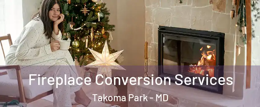  Fireplace Conversion Services Takoma Park - MD