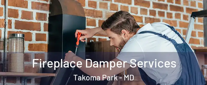  Fireplace Damper Services Takoma Park - MD