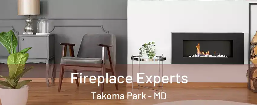  Fireplace Experts Takoma Park - MD