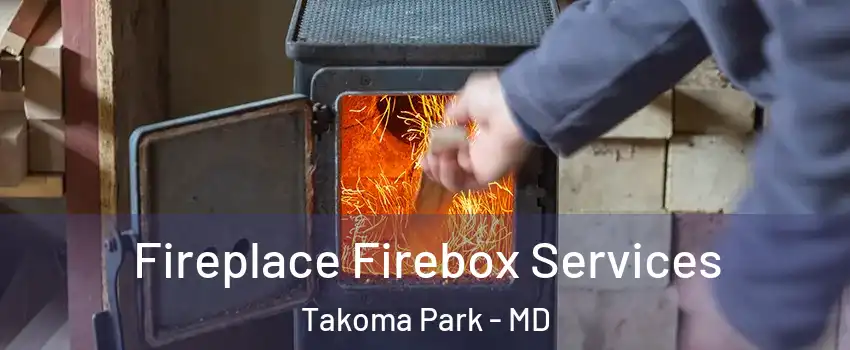  Fireplace Firebox Services Takoma Park - MD