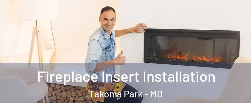 Fireplace Insert Installation Takoma Park - MD