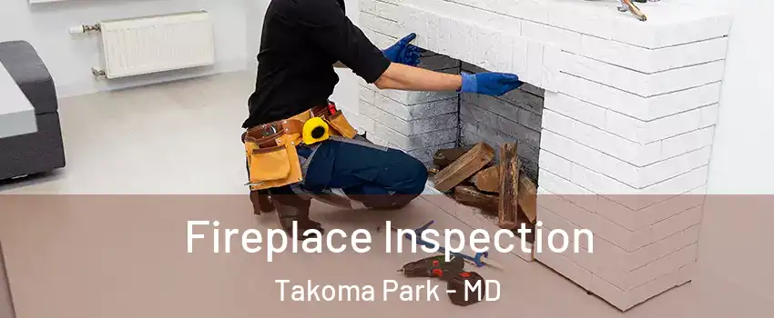 Fireplace Inspection Takoma Park - MD