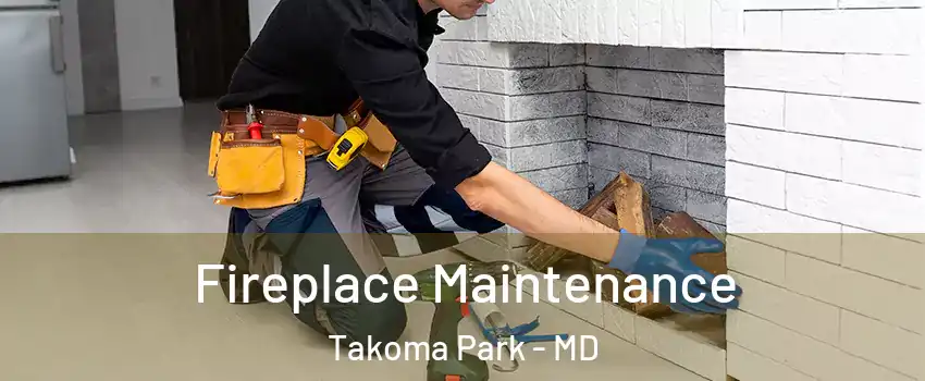 Fireplace Maintenance Takoma Park - MD