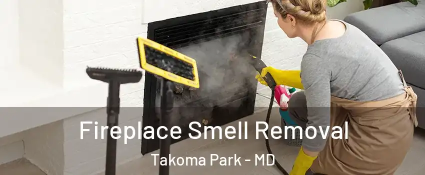  Fireplace Smell Removal Takoma Park - MD