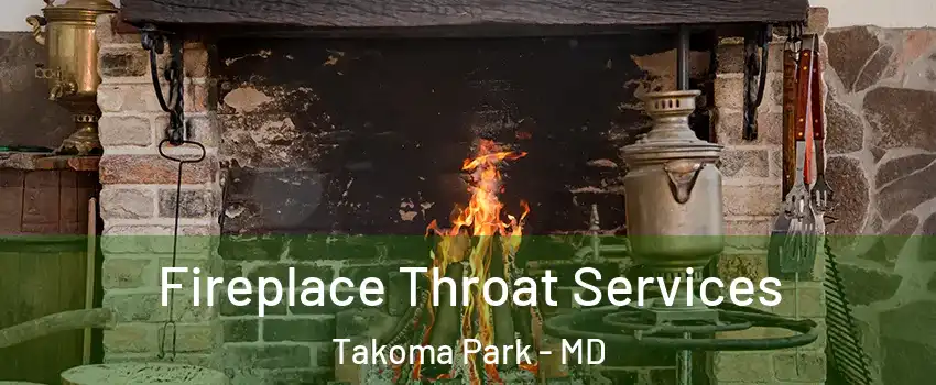  Fireplace Throat Services Takoma Park - MD