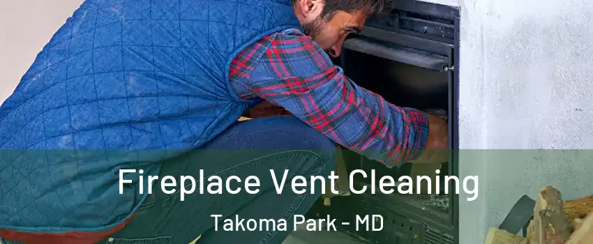 Fireplace Vent Cleaning Takoma Park - MD