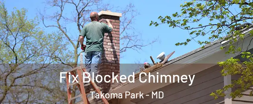 Fix Blocked Chimney Takoma Park - MD