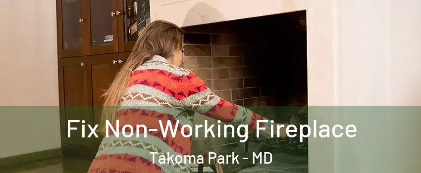 Fix Non-Working Fireplace Takoma Park - MD
