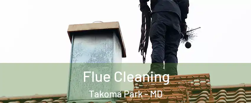 Flue Cleaning Takoma Park - MD