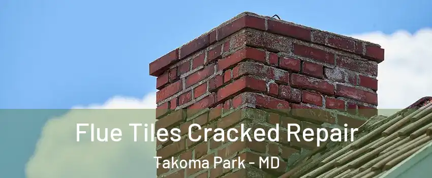  Flue Tiles Cracked Repair Takoma Park - MD