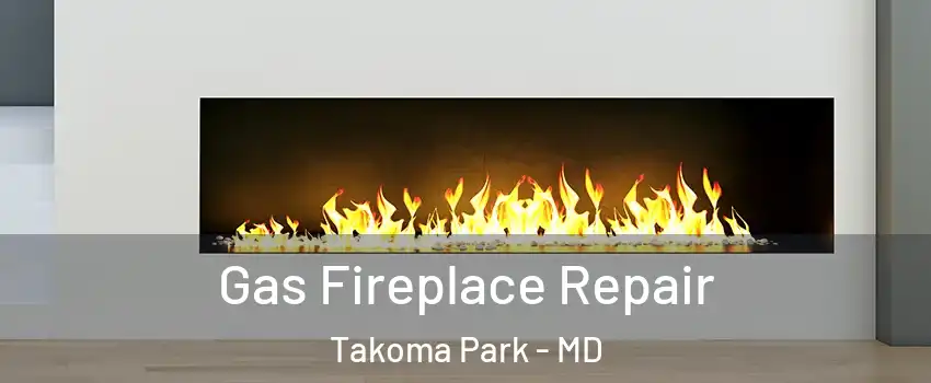  Gas Fireplace Repair Takoma Park - MD