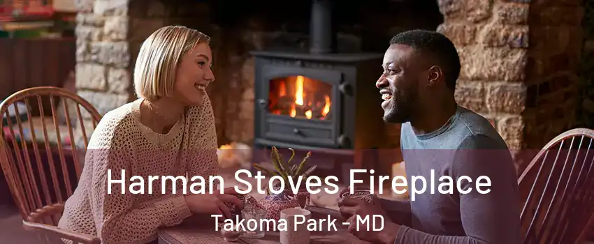  Harman Stoves Fireplace Takoma Park - MD