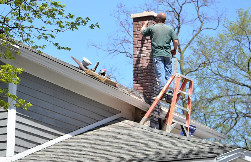 Chimney & Fireplace Inspections Services in Takoma Park, MD