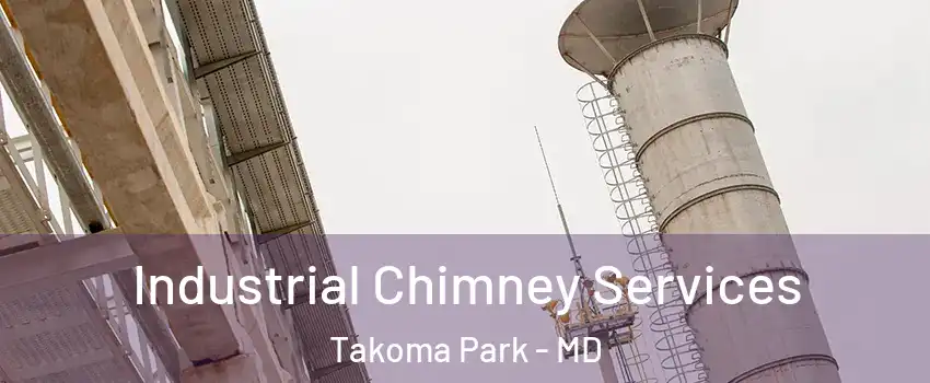  Industrial Chimney Services Takoma Park - MD