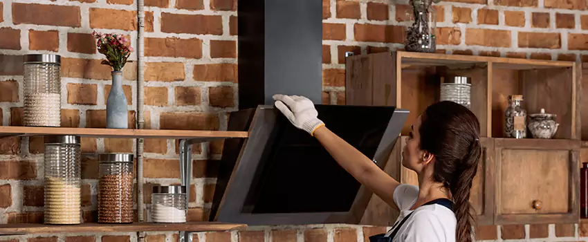 Chimney Installation in Takoma Park, MD