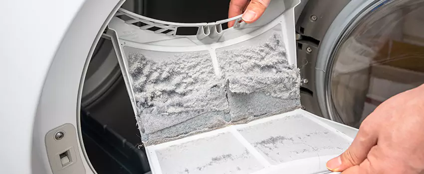 Best Dryer Lint Removal Company in Takoma Park, Maryland