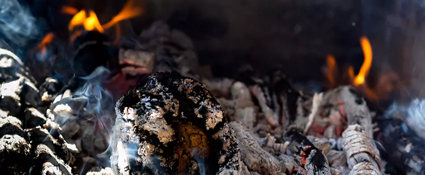 Creosote Removal Experts in Takoma Park, MD