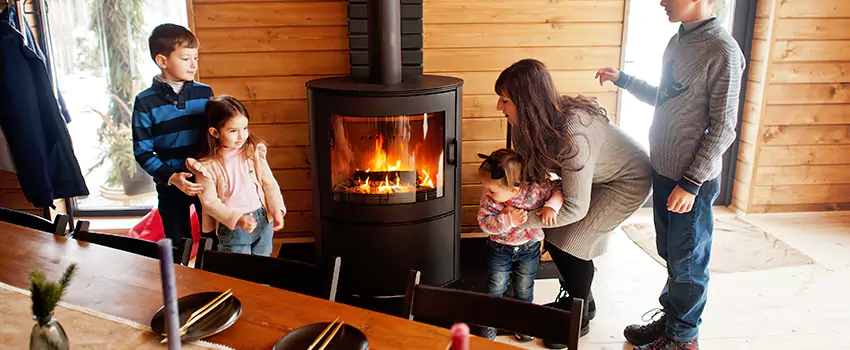 Jøtul Gas Fireplace Inspection Service in Takoma Park, Maryland