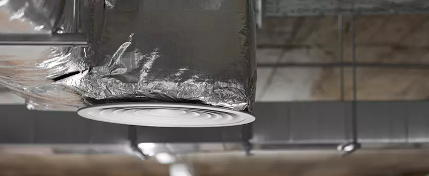 Signs of Dust Accumulation in Vents in Takoma Park, MD