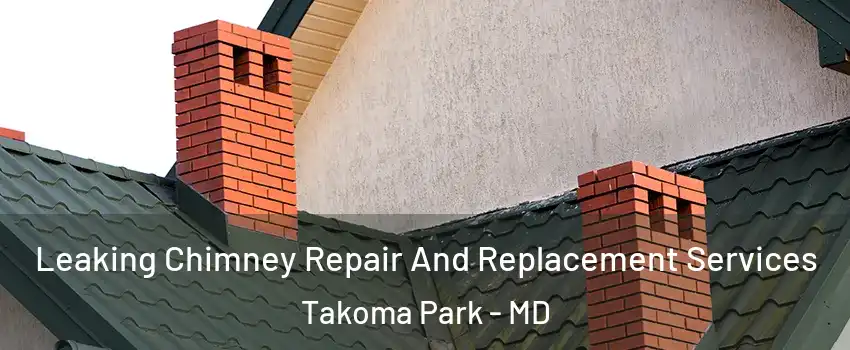 Leaking Chimney Repair And Replacement Services Takoma Park - MD