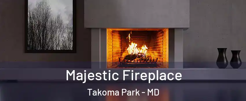  Majestic Fireplace Takoma Park - MD
